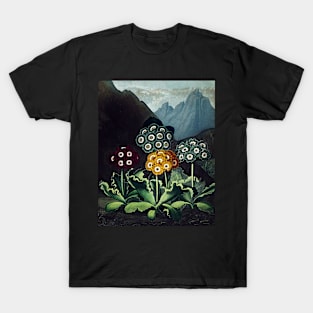 Botanical Art Temple Of Flora Auriculas T-Shirt